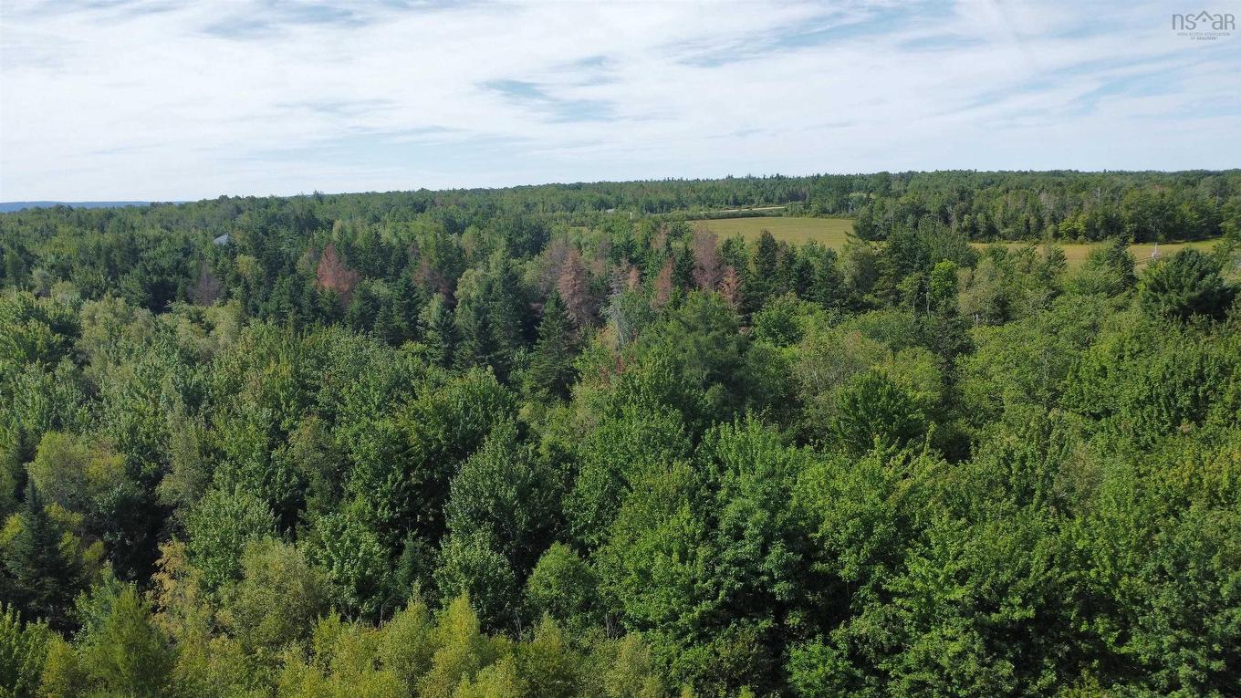 Lot 25-4 Highway #368, Wentworth, NS