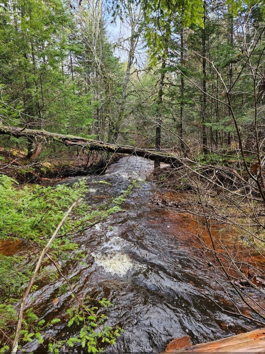 Lot 25-4 Highway #368, Wentworth, NS