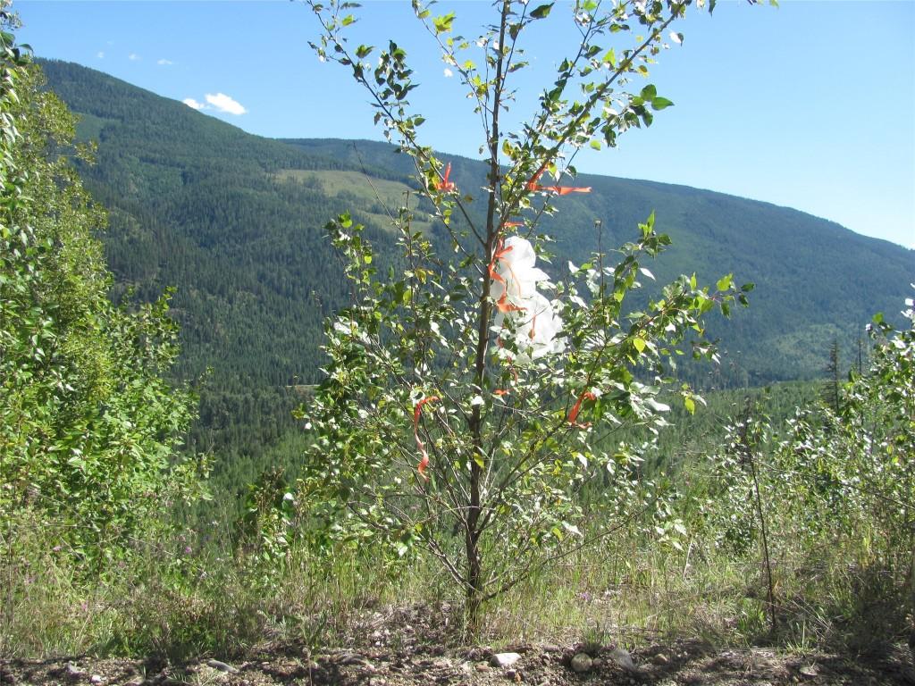 130Acres Sugar Lake-Sihlis Road, Vernon, BC