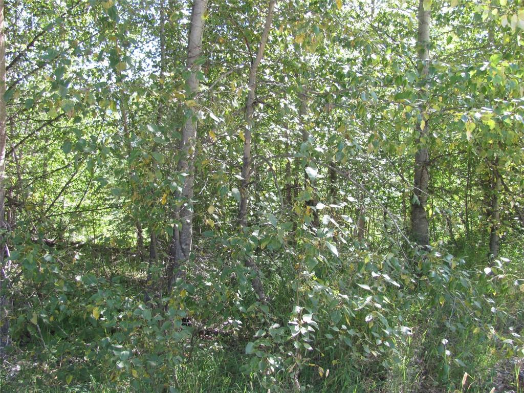 130Acres Sugar Lake-Sihlis Road, Vernon, BC