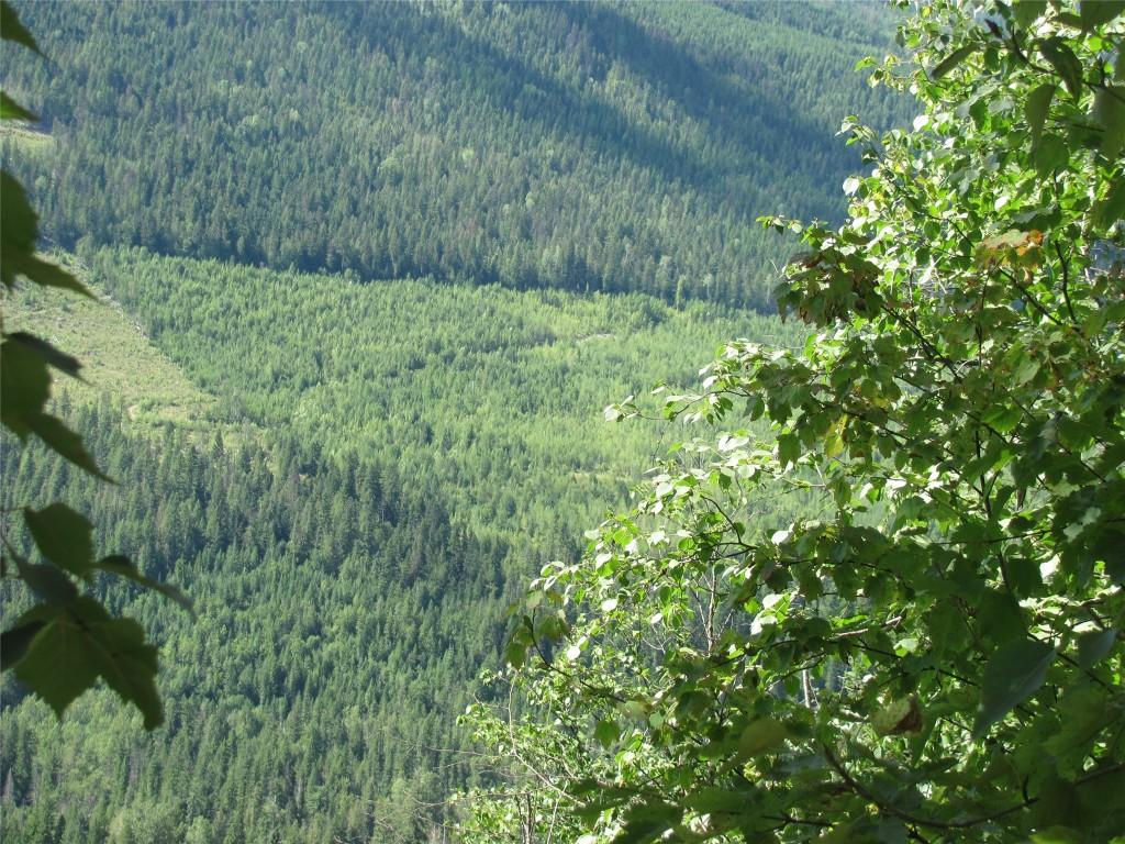 130Acres Sugar Lake-Sihlis Road, Vernon, BC