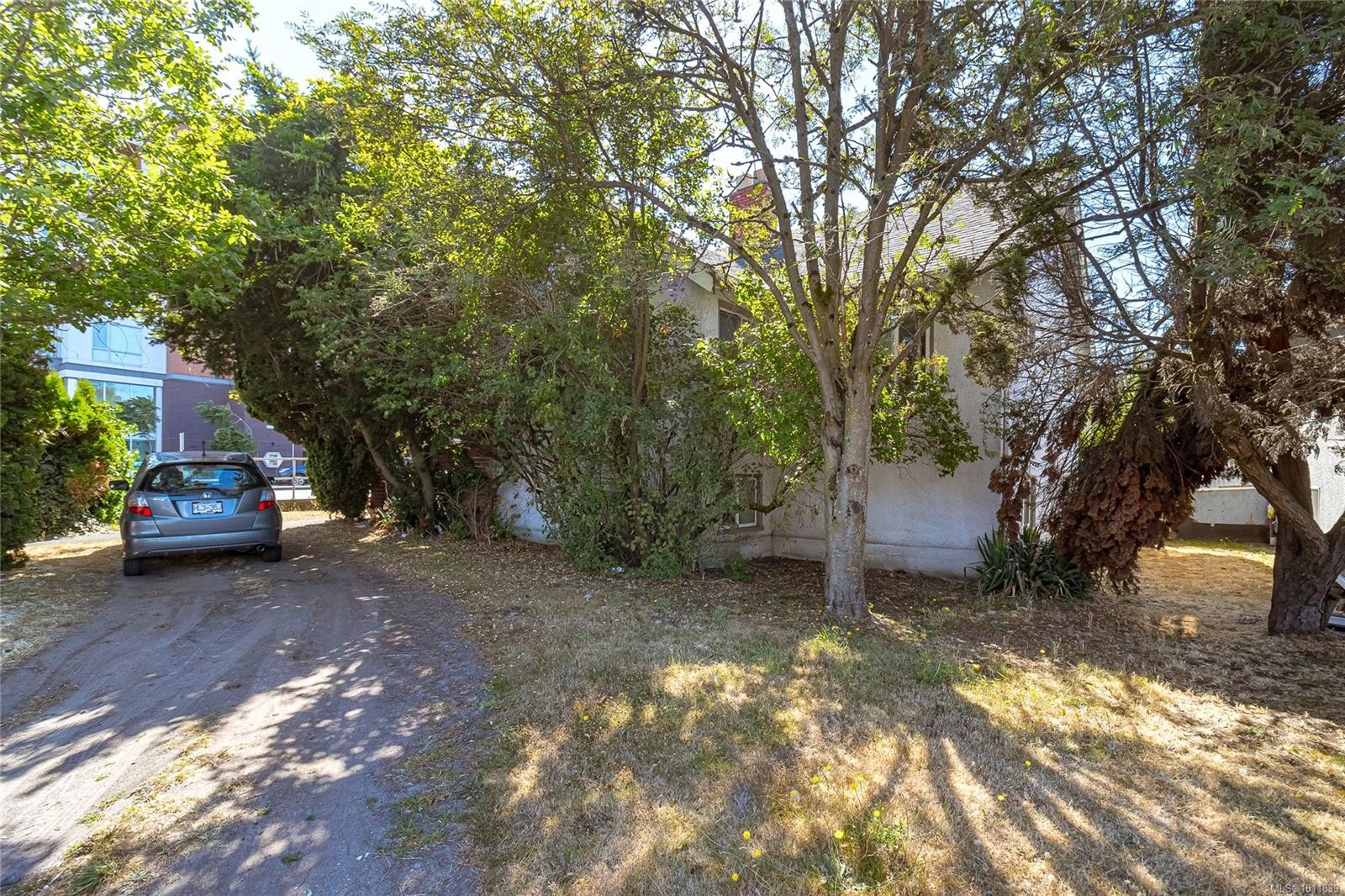 1237 Hillside Ave, Victoria, BC