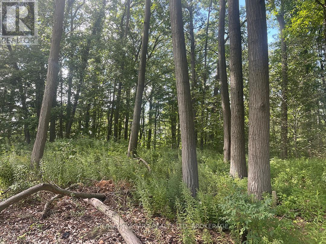 E/S Firelane 3 Road, Port Colborne (Sherkston), ON