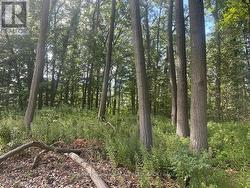 E/S FIRELANE 3 ROAD Port Colborne (Sherkston), ON L3K 5V5