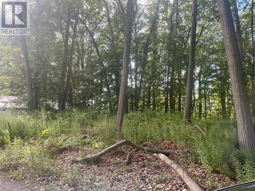 E/S Firelane 3 Road, Port Colborne (Sherkston), ON