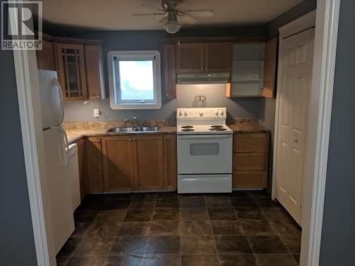 16 Currie Avenue, Channel-Port Aux Basques, NL - Indoor Photo Showing Kitchen With Double Sink