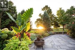 SUNSETS... ARE FABULOUS.. -