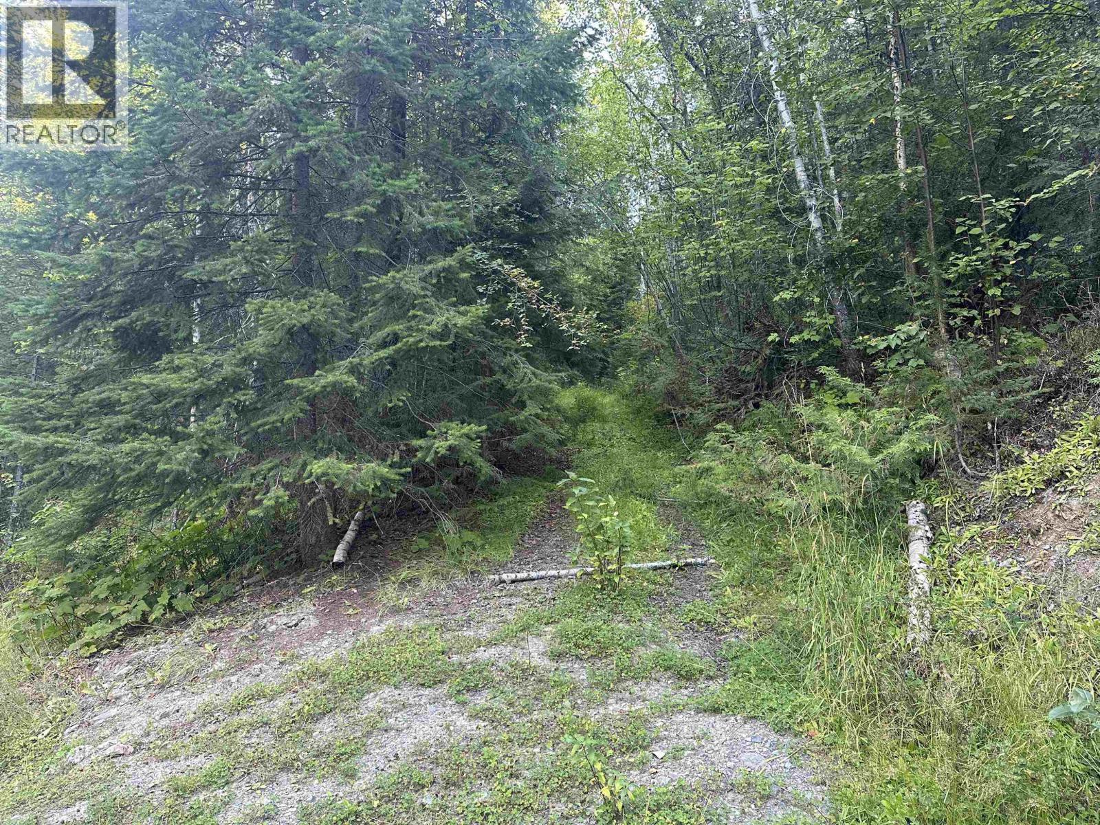 6390 Keithley Creek Road, Likely, BC - Outdoor