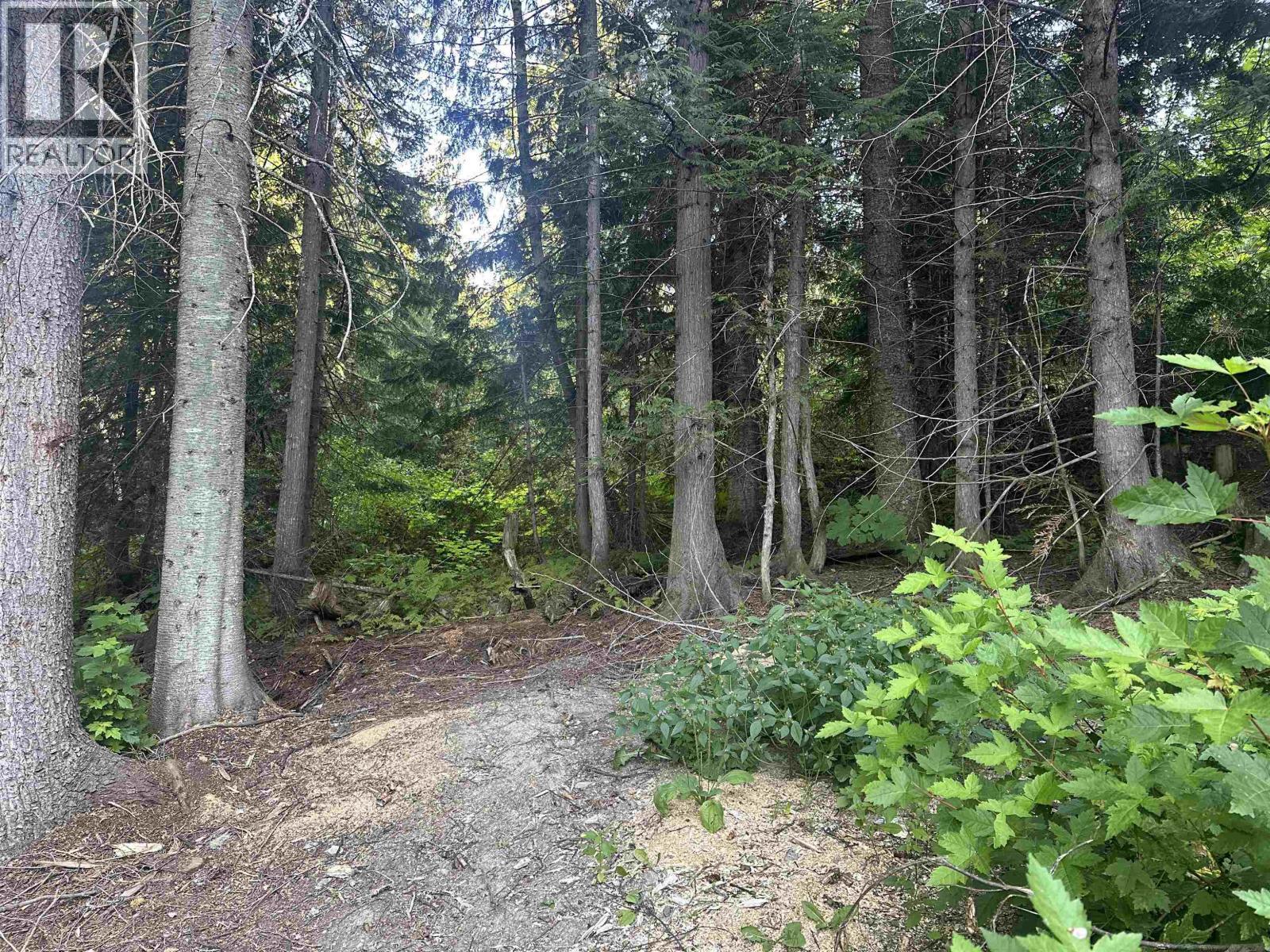 6390 Keithley Creek Road, Likely, BC - Outdoor
