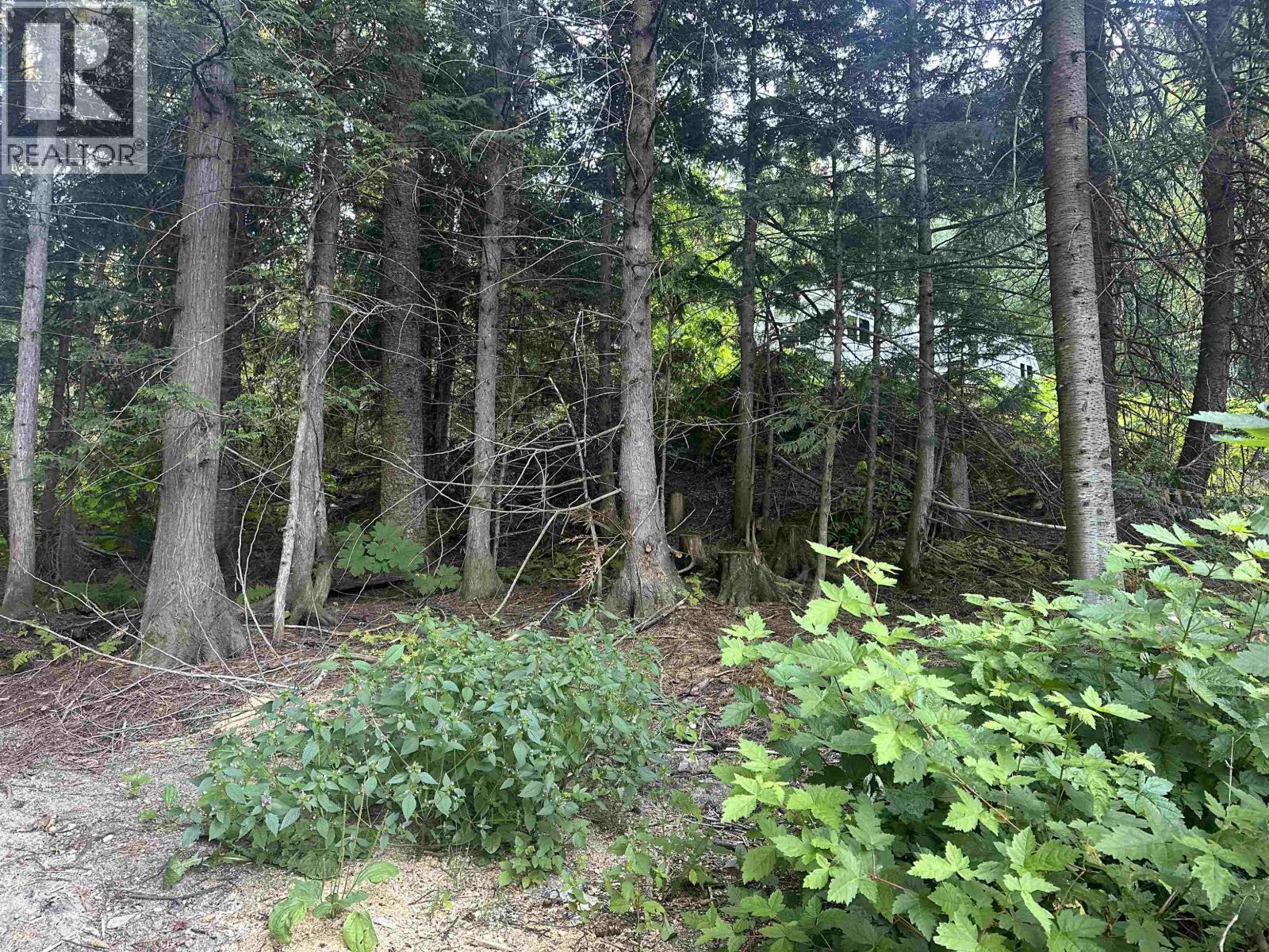 6390 Keithley Creek Road, Likely, BC - Outdoor