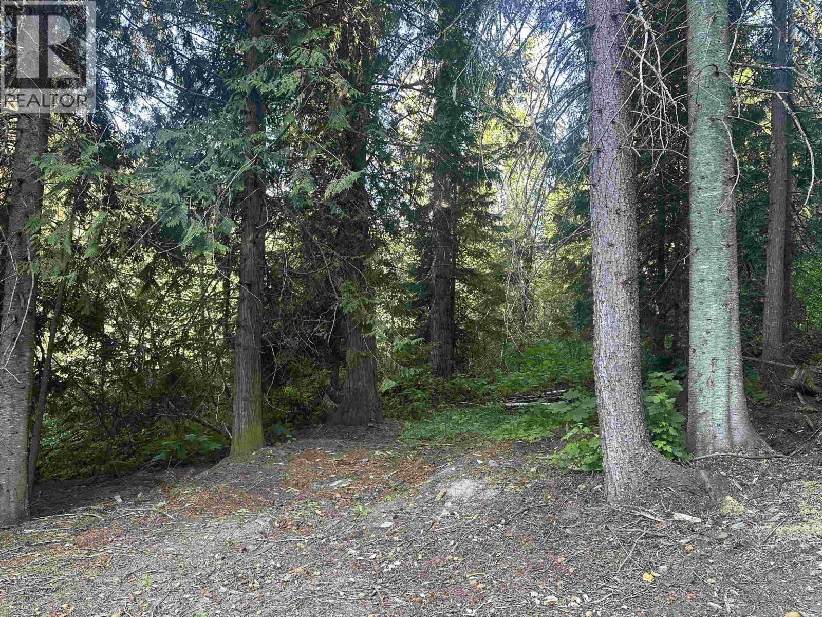 6390 Keithley Creek Road, Likely, BC - Outdoor