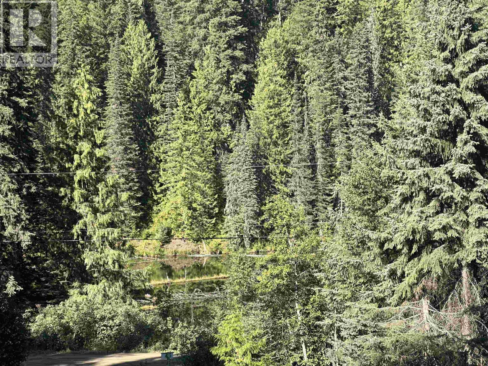 6390 Keithley Creek Road, Likely, BC - Outdoor