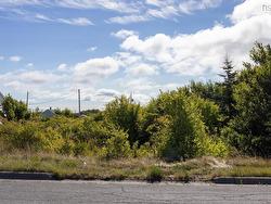 324 Convent Street New Waterford, NS B1H 2Z1