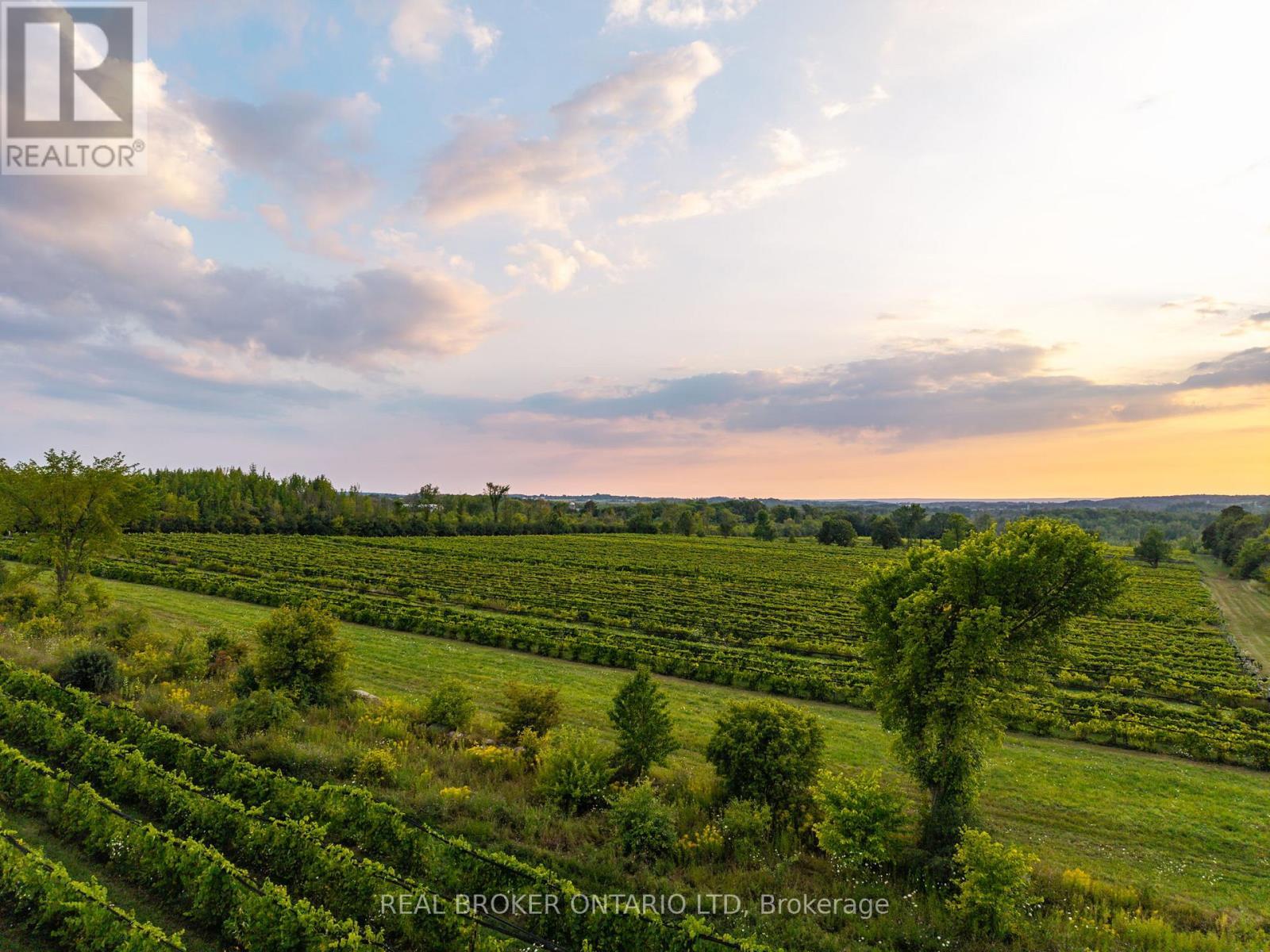 599450 2Nd Concession N, Meaford, ON