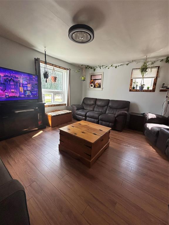 130 First Street, Baldur, MB - Indoor Photo Showing Living Room