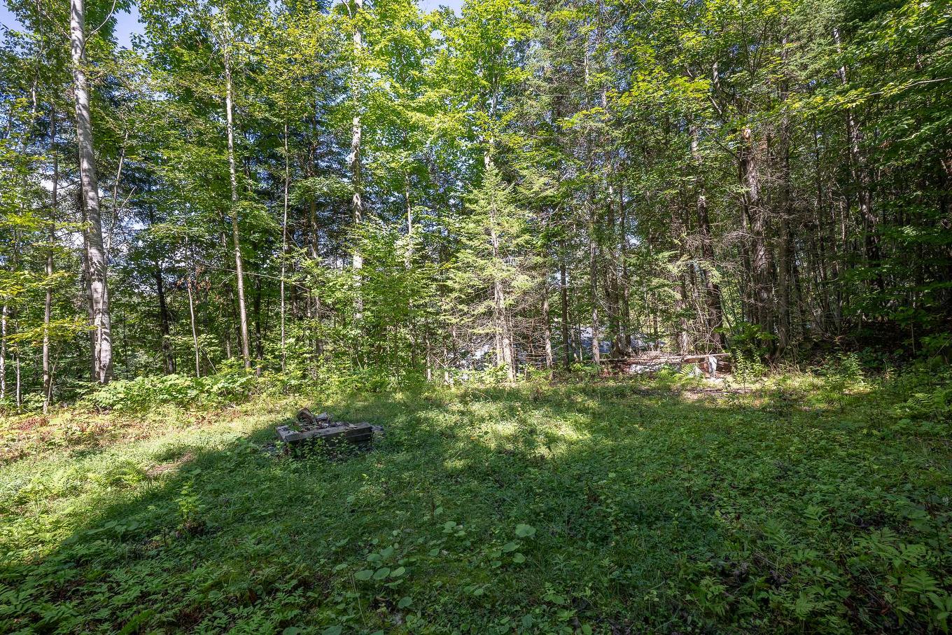 Jardin - 1109 Ch. De La Paix, Saint-Sauveur, QC - Outdoor