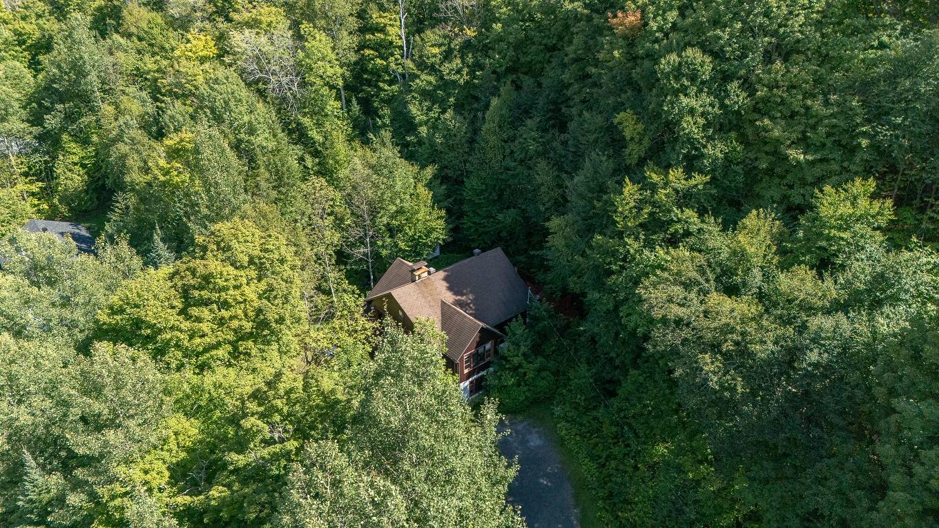 Photo aérienne - 1109 Ch. De La Paix, Saint-Sauveur, QC - Outdoor