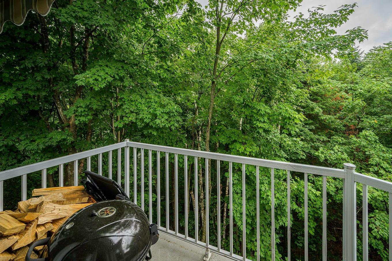 Balcon - 340 Ch. Des Épinettes, Piedmont, QC - Outdoor