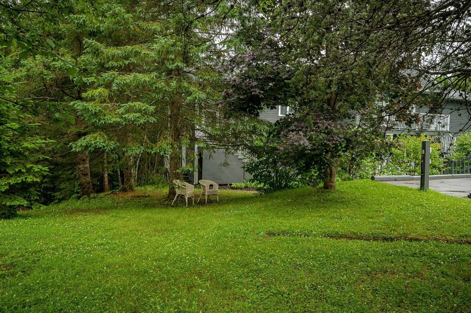 Exterior - 340 Ch. Des Épinettes, Piedmont, QC - Outdoor