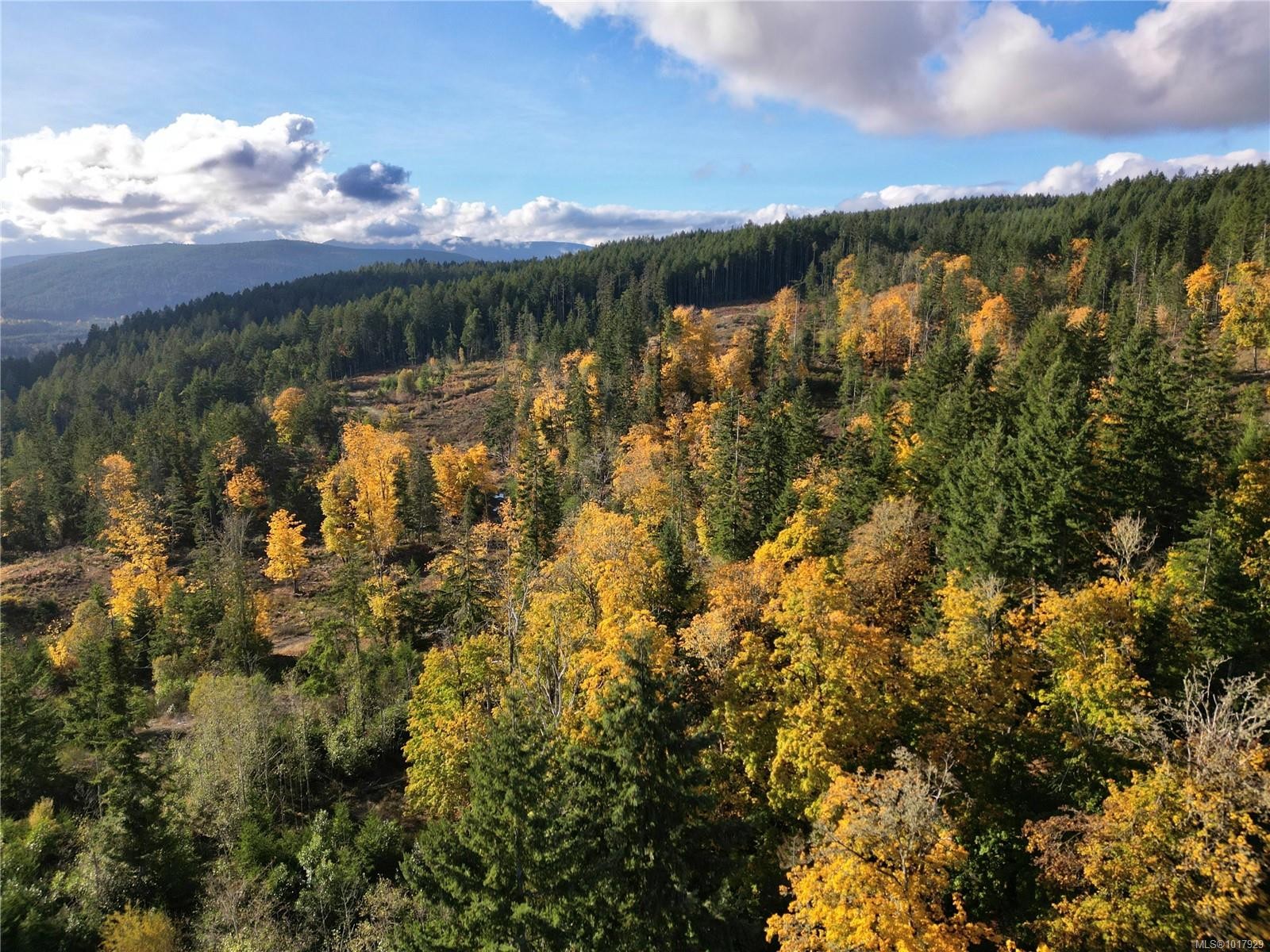 6645 Hillcrest Rd, Duncan, BC