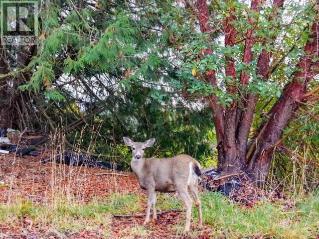 5358 Earl Street, Texada Island, BC - Outdoor