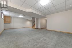 lower level family room -