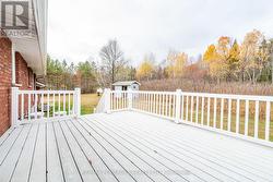 back yard deck -