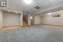 lower level family room -