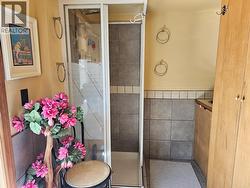 Main Bathroom on 3rd Level -