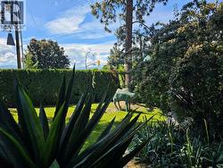 Large side yard for potential future development -