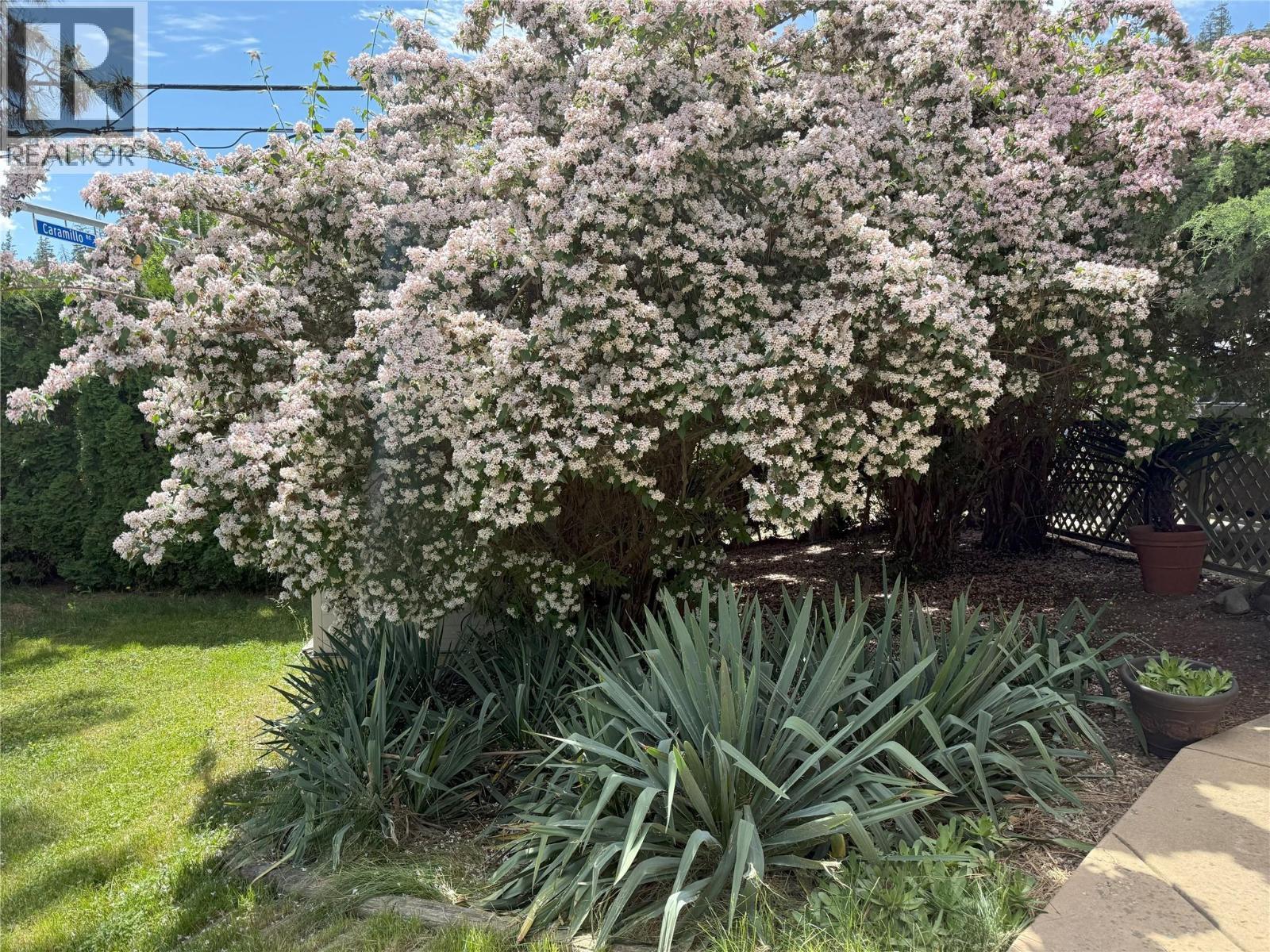 599 Clifton Road S, Kelowna, BC - Outdoor