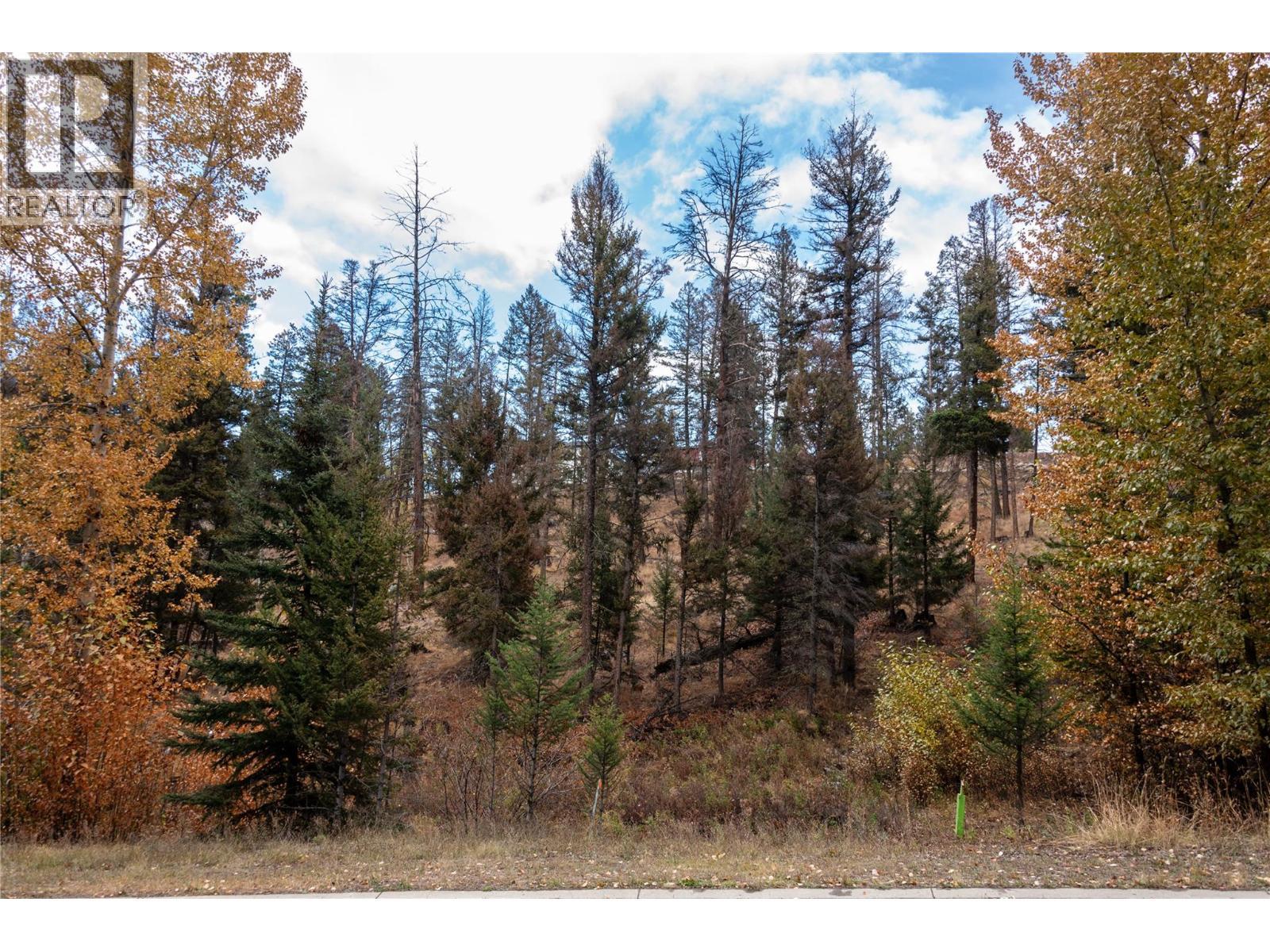 331 Poplar Drive, Logan Lake, BC