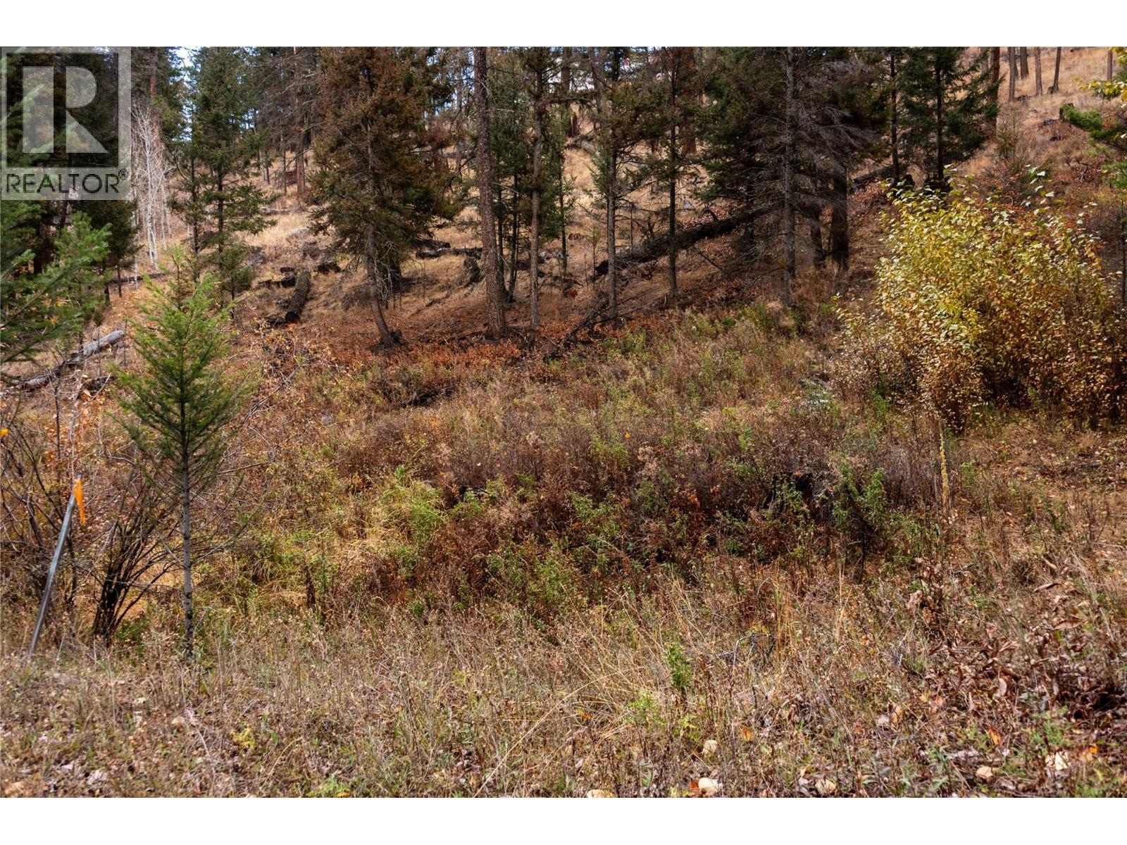 331 Poplar Drive, Logan Lake, BC