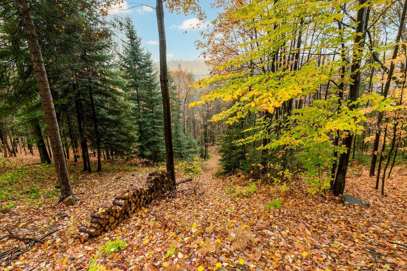 Cour - 87Z Ch. Des Couleurs, Saint-Sauveur, QC - Outdoor With View