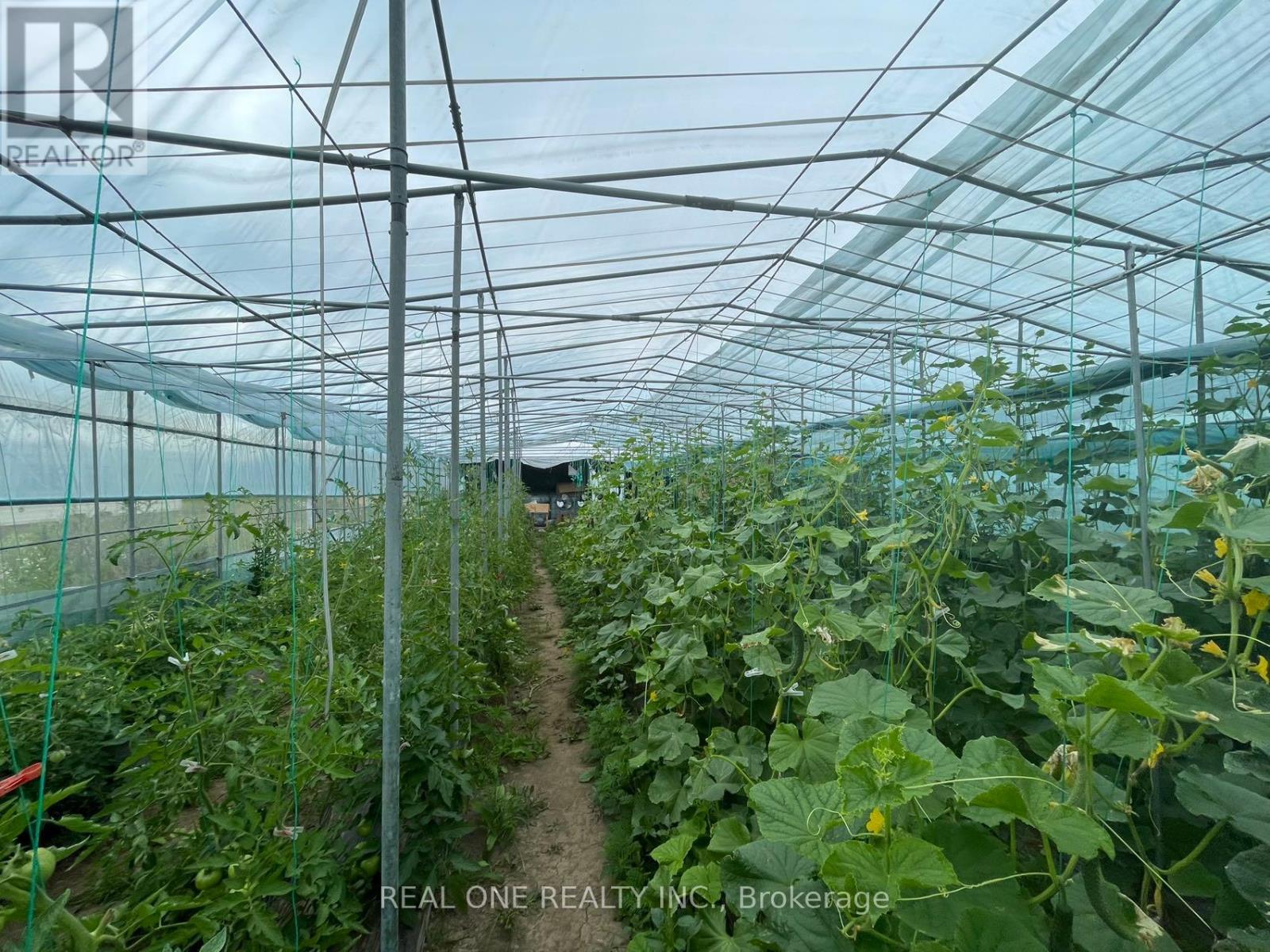 2065B Thorah Concession Rd 4 Road, Brock, ON