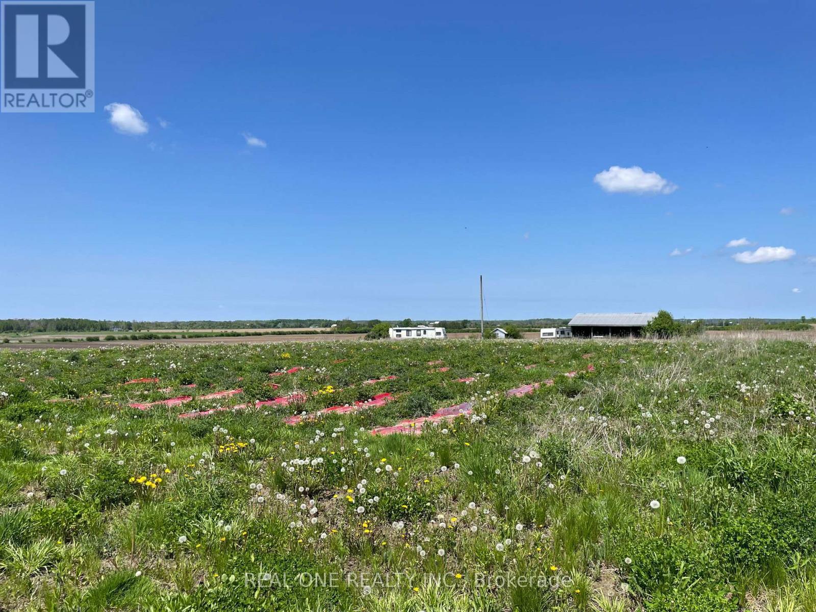 2065B Thorah Concession Rd 4 Road, Brock, ON