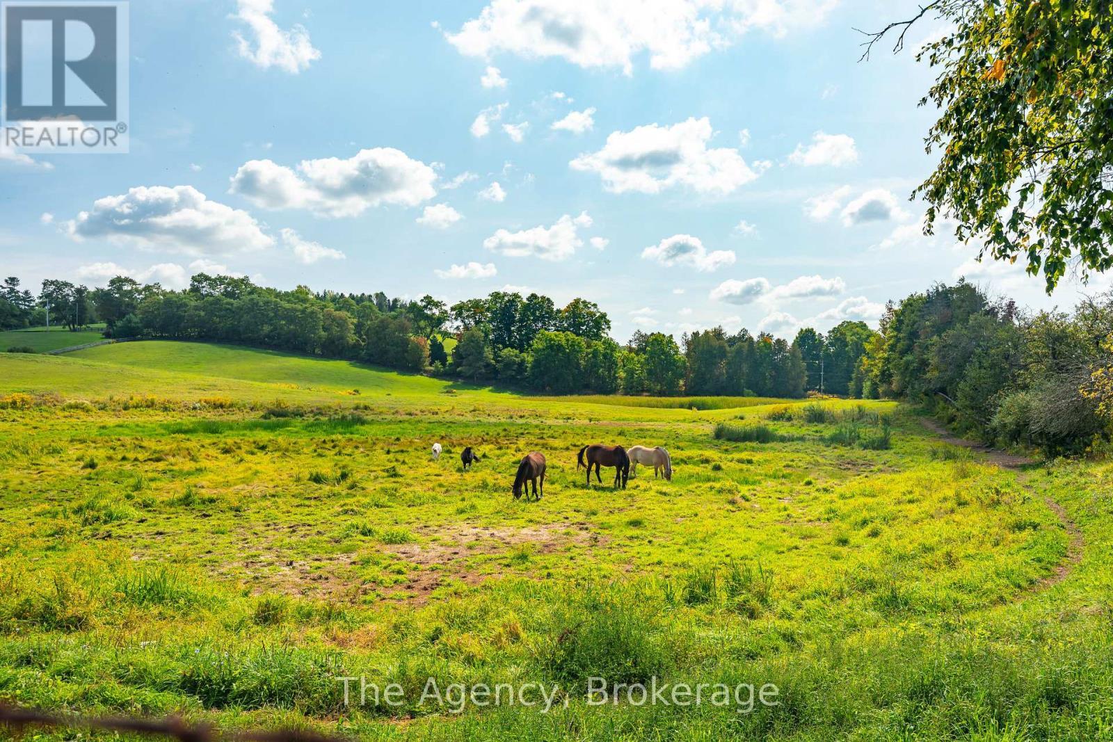 5150 17 Side Road, King (Schomberg), ON