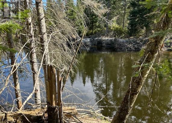 0 County Road 503, Minden Hills (Snowdon), ON