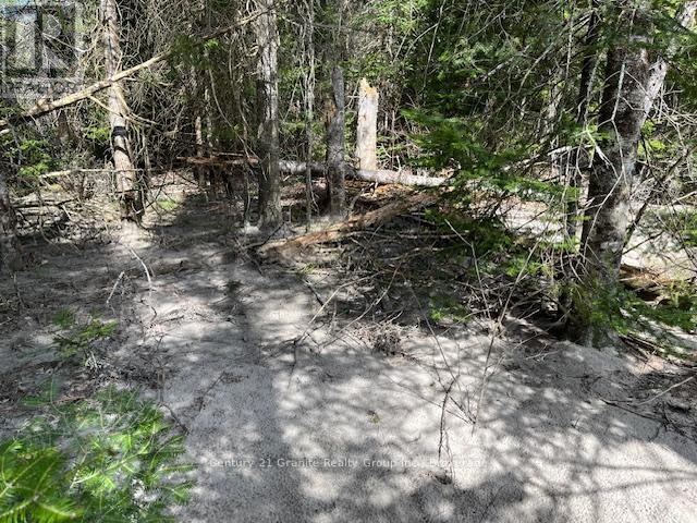 0 County Road 503, Minden Hills (Snowdon), ON