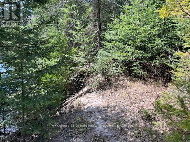 0 County Road 503, Minden Hills (Snowdon), ON