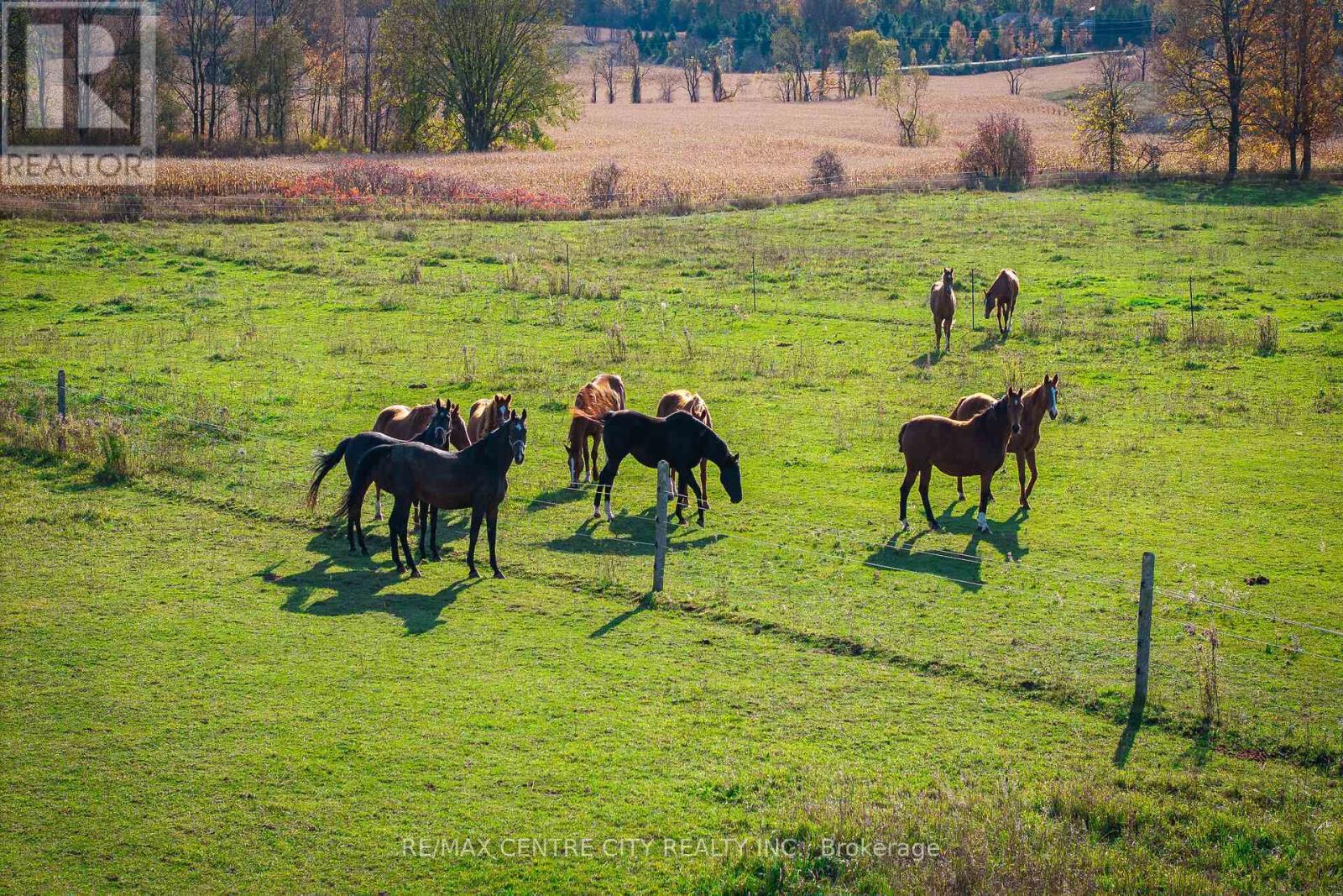 442146 Concession Road 8, West Grey, ON