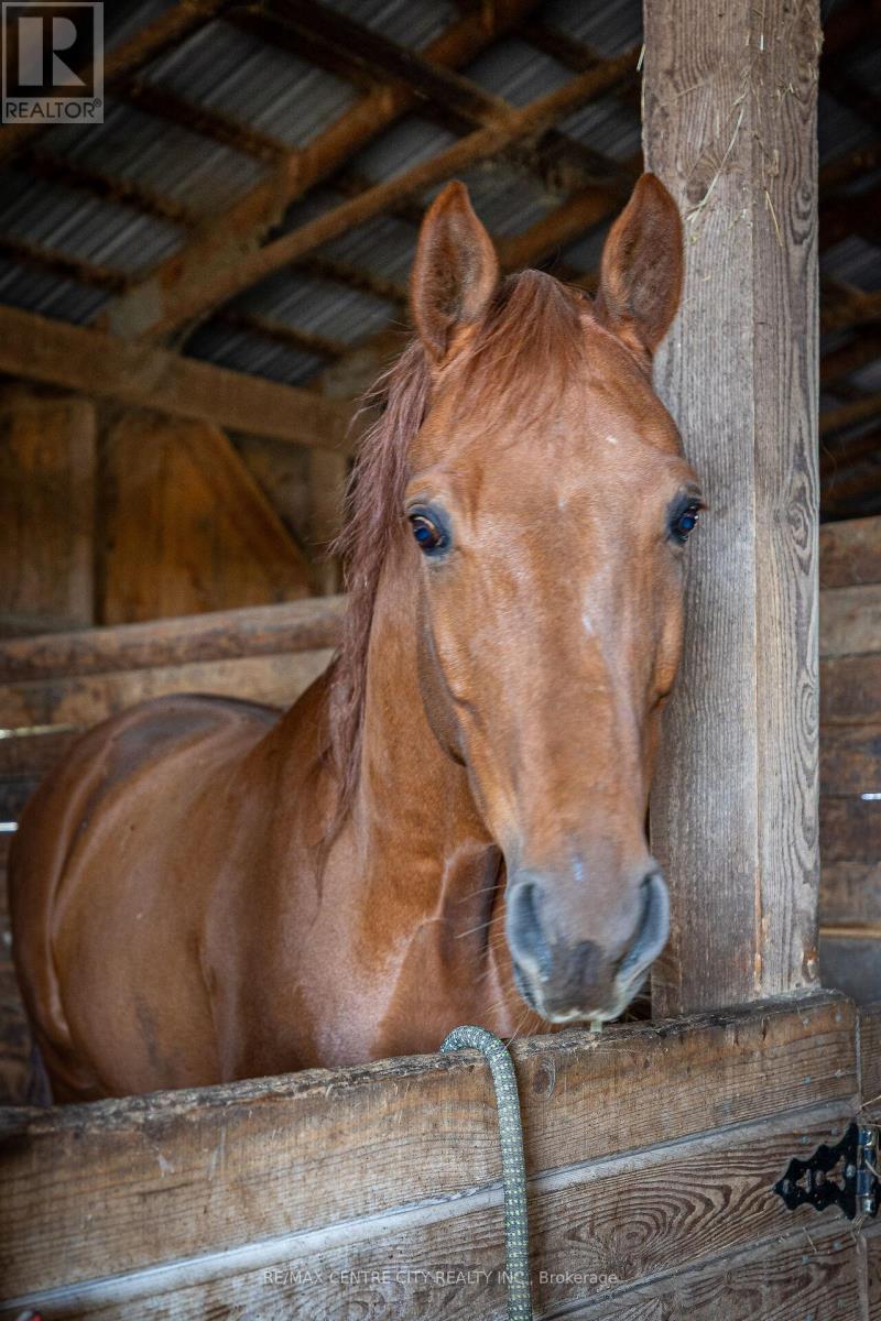 442146 Concession Road 8, West Grey, ON