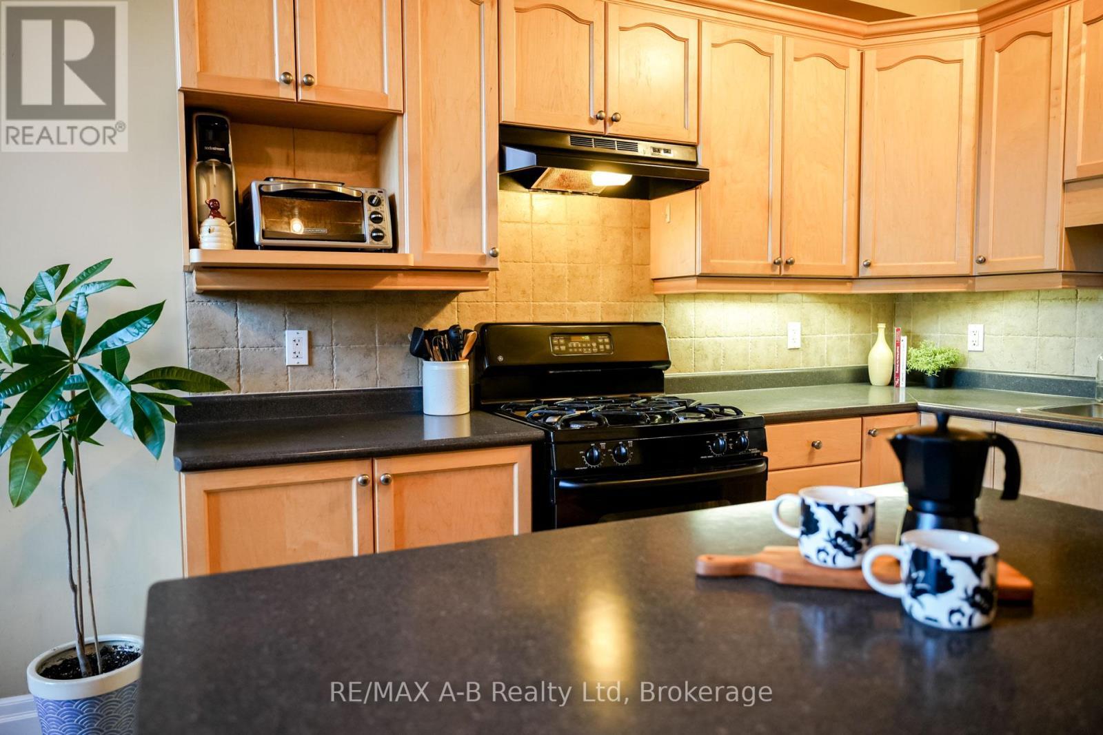 305 - 555 King Street E, Kitchener, ON - Indoor Photo Showing Kitchen