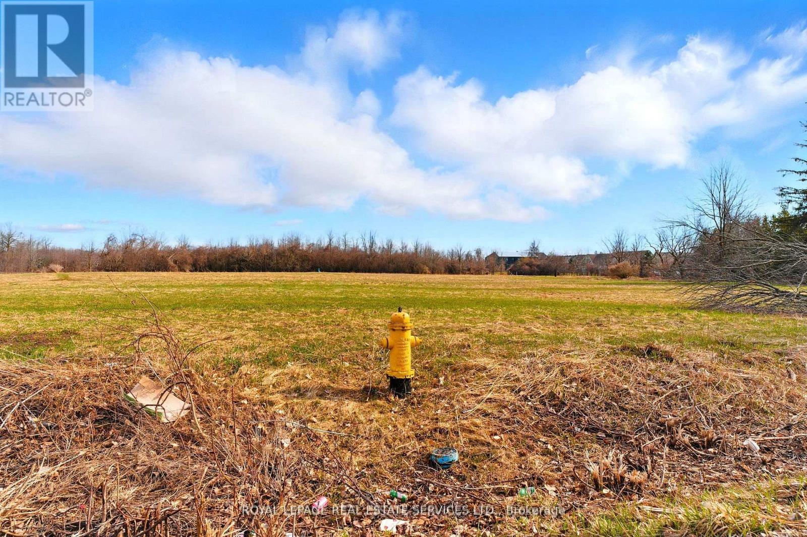 157 Main Street, Brock, ON