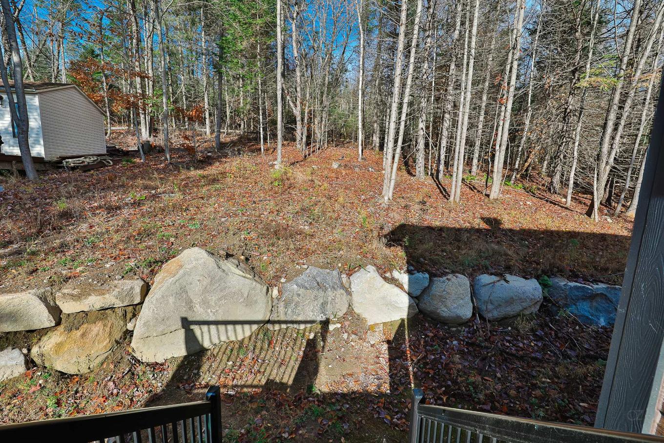 Backyard - 2100 Rue Wilfrid, Val-David, QC - Outdoor