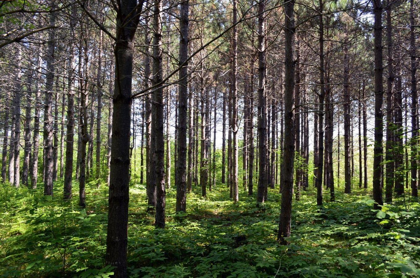 Lot 3 Colonial Arms Drive Accc#4, Deep Brook, NS