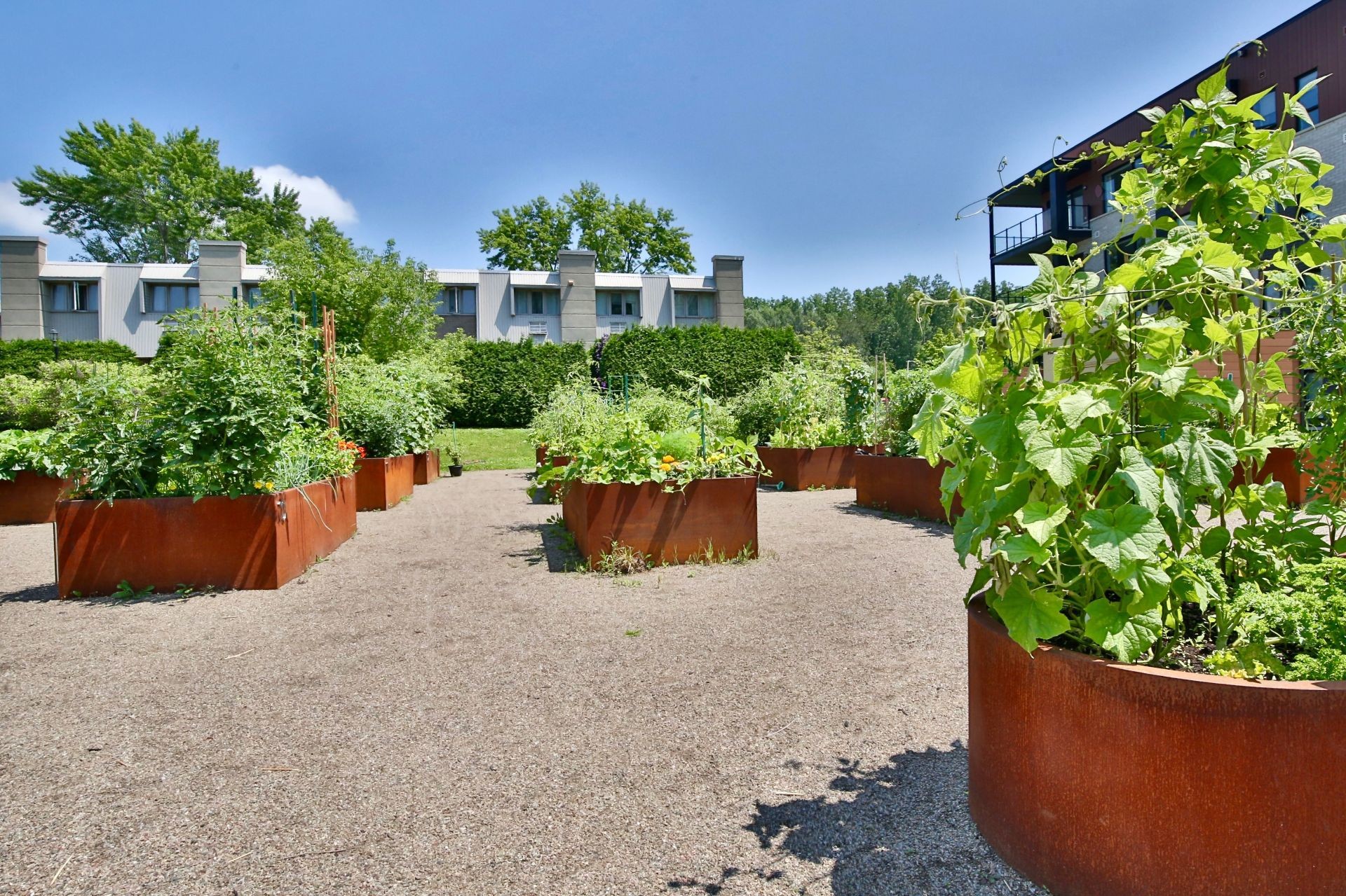 Garden - 112-2100 Rue Benoit, Saint-Bruno-De-Montarville, QC - Outdoor