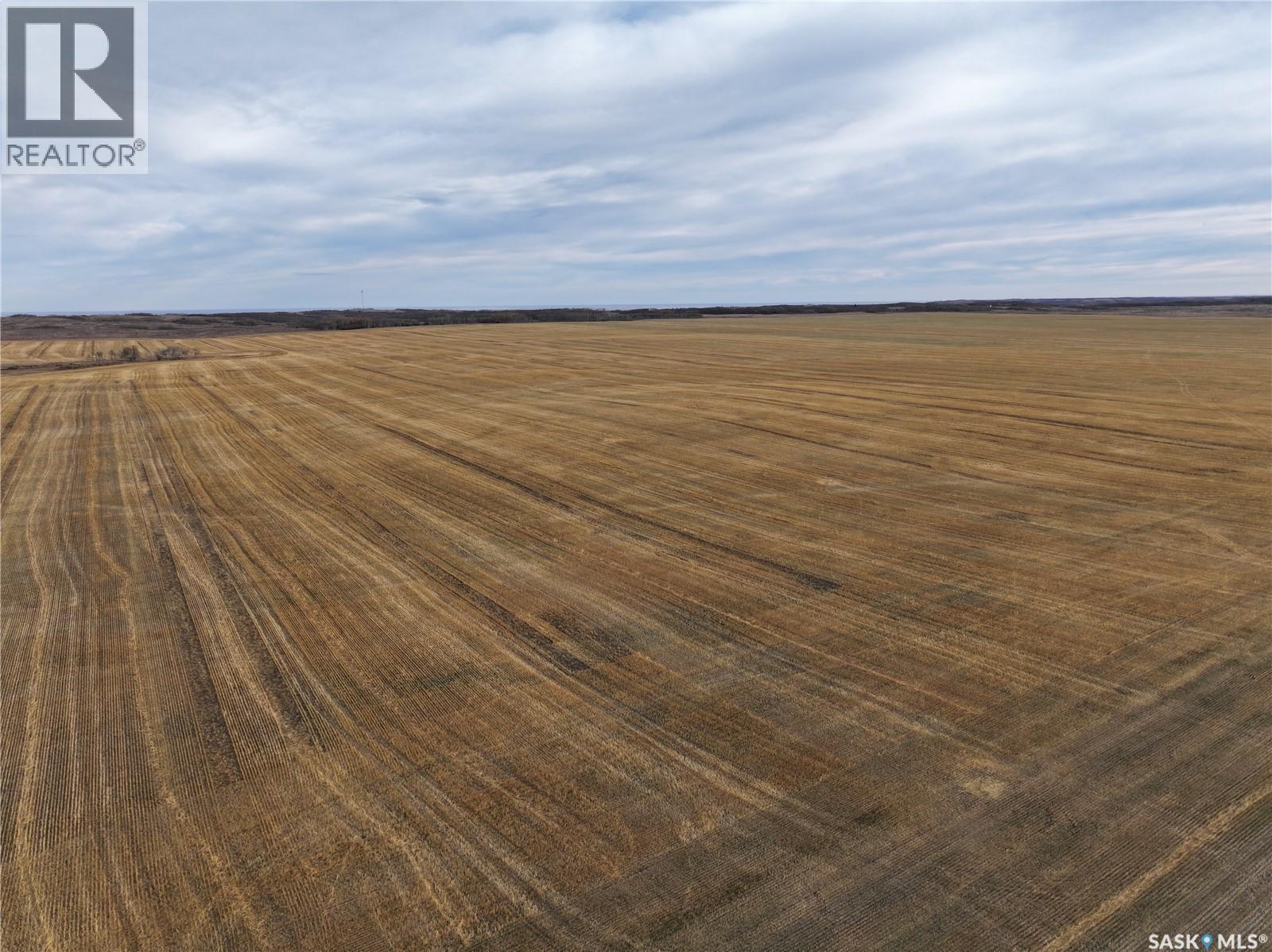 K & K Cattle Co. Ltd., Maple Creek Rm No. 111, SK