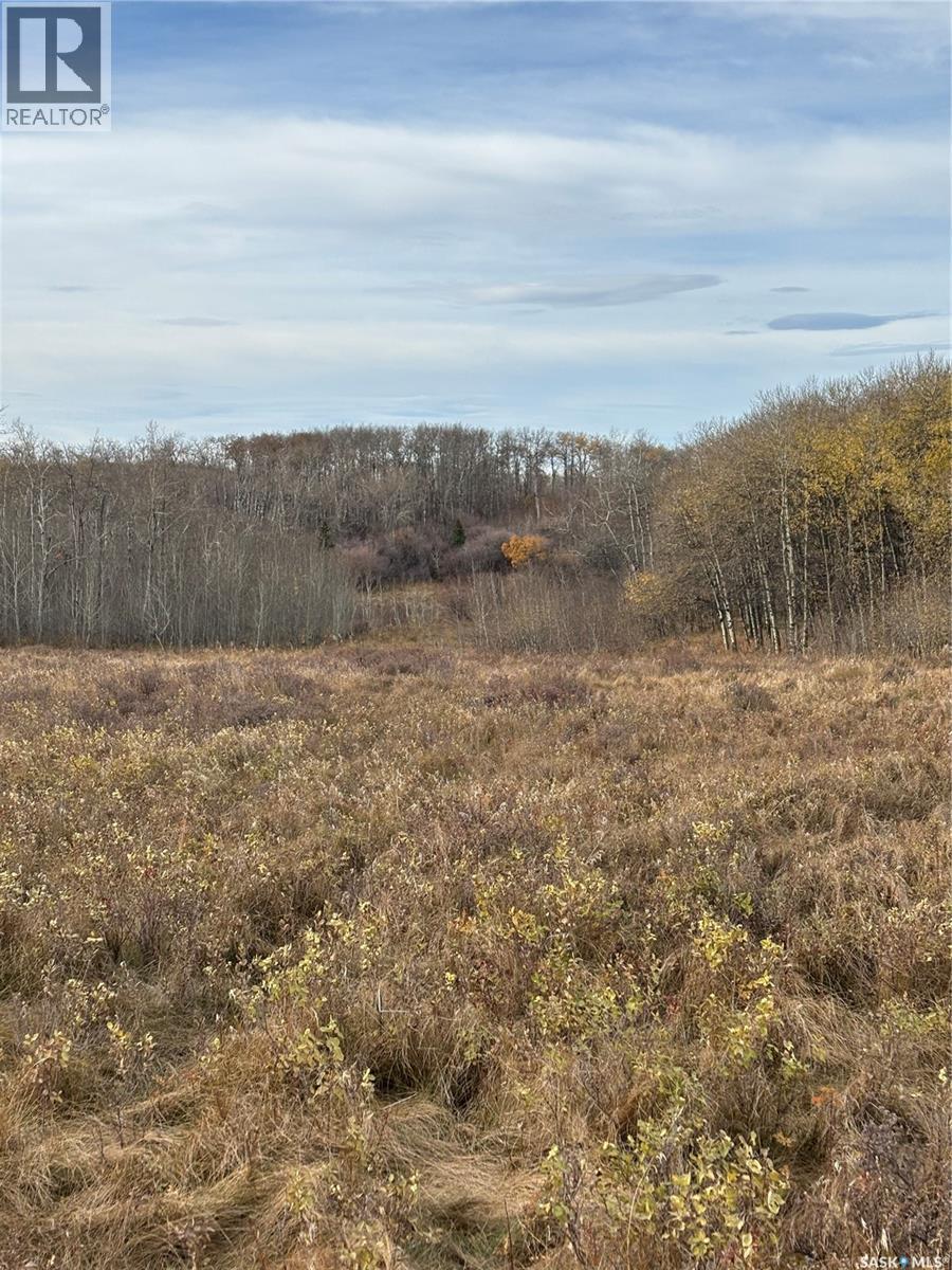 K & K Cattle Co. Ltd., Maple Creek Rm No. 111, SK
