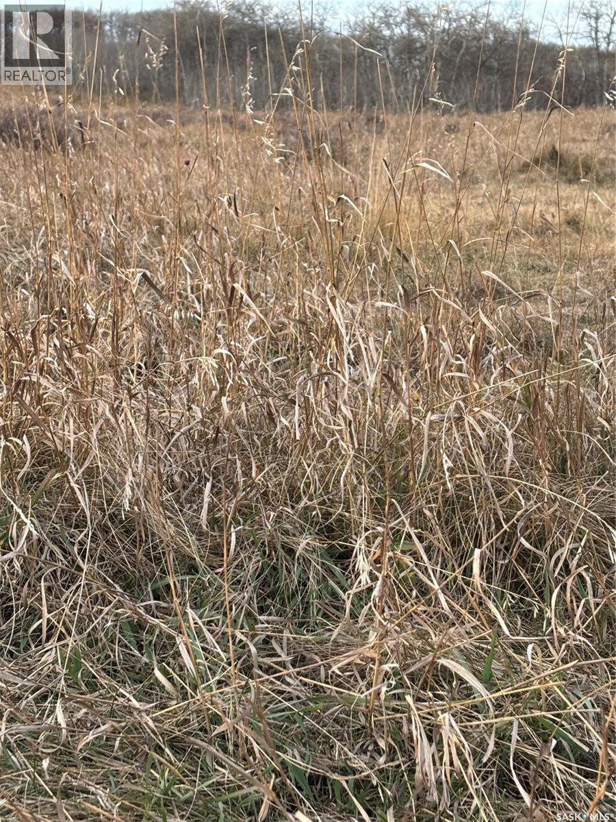 K & K Cattle Co. Ltd., Maple Creek Rm No. 111, SK